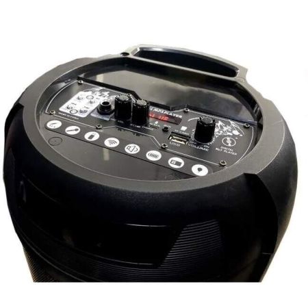 Портативная акустика LT-2806